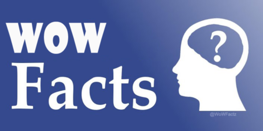 WoW Facts banner