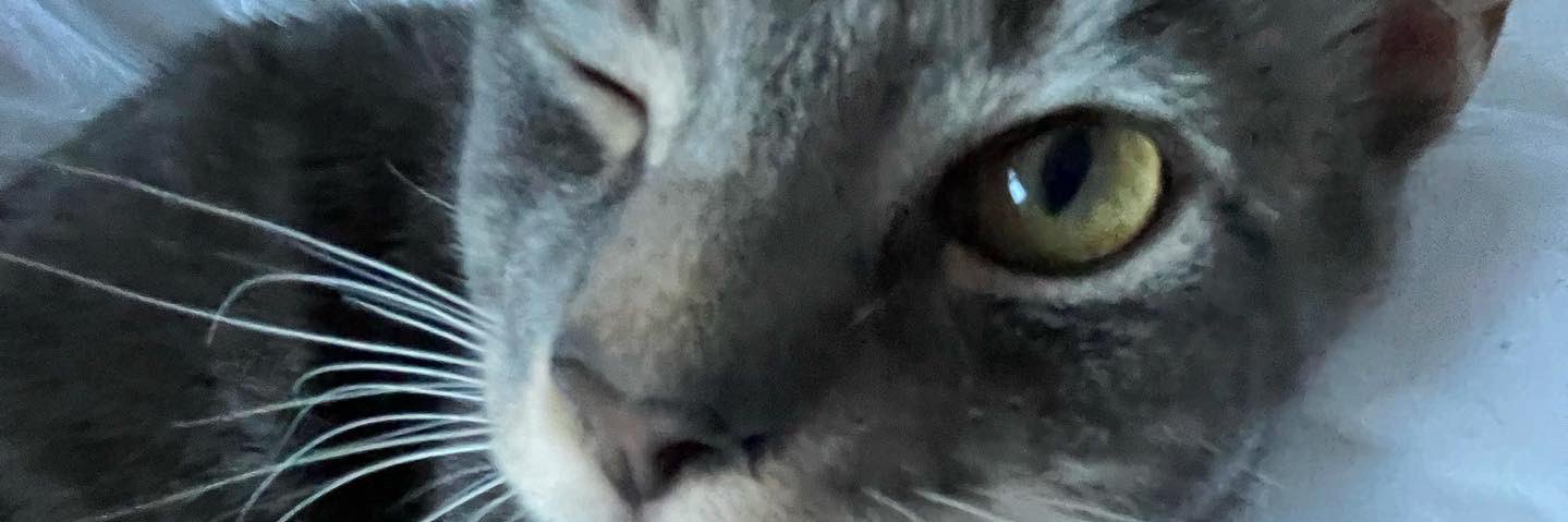 loumclaughlinx's profile banner image