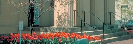AlexLyceum's profile banner image