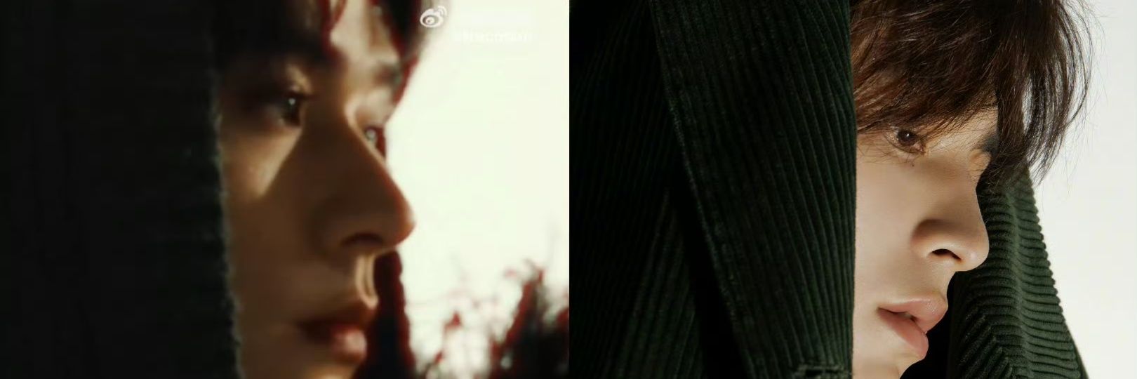 Dawn on 🏔 (anti-toxics & anti-zsj believers) banner