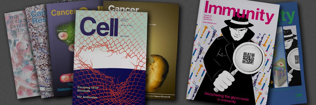 Rabinovich Lab banner