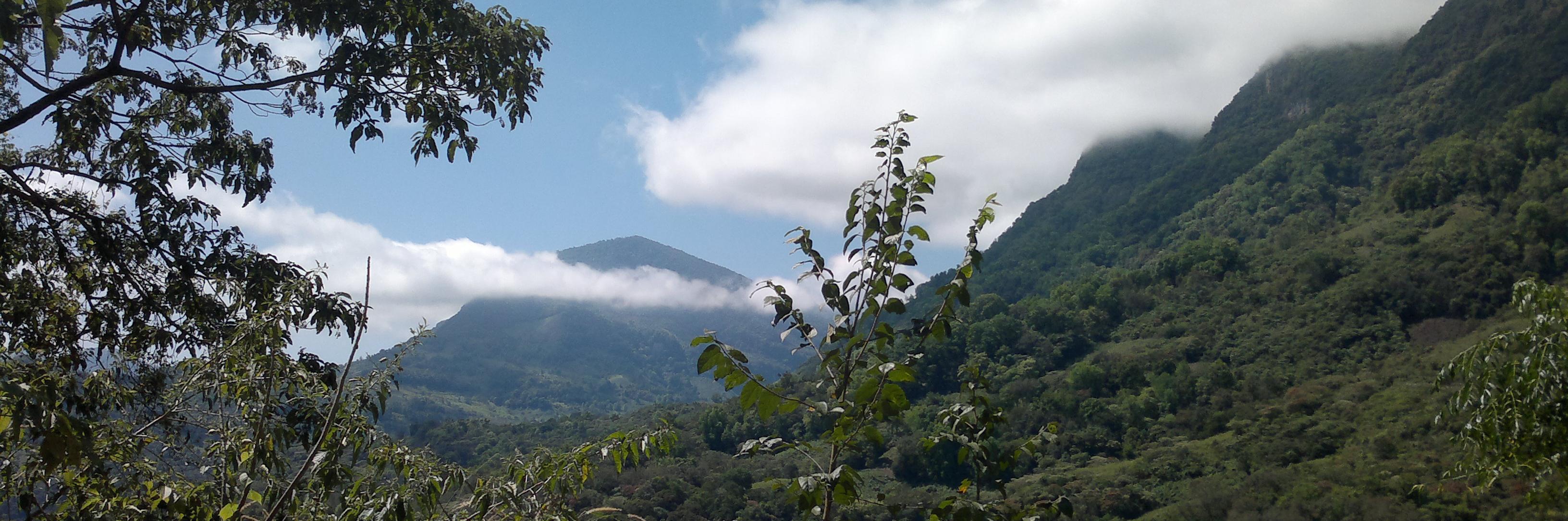 Edgaro1213's profile banner image