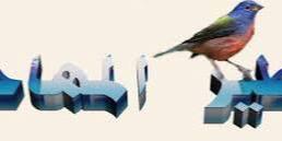 hesham3020's profile banner image