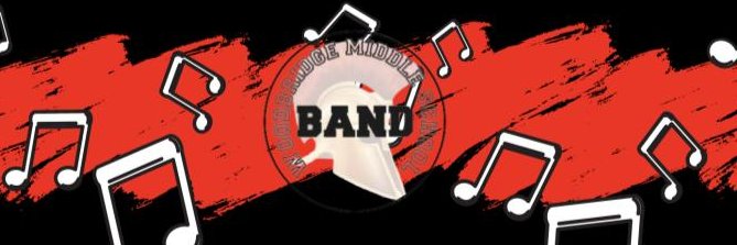 Sarah Maneri banner