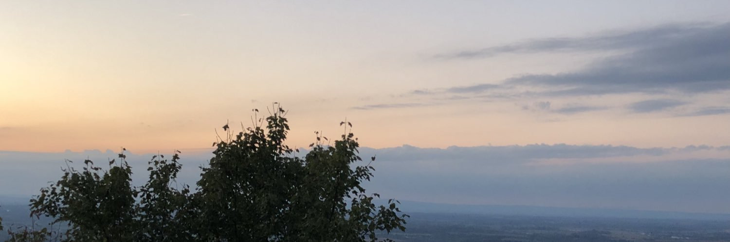 Carrie Calvert banner