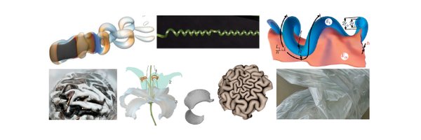 Mahadevan_Lab Profile Banner