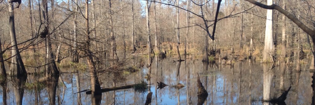 Chris Hatcher banner