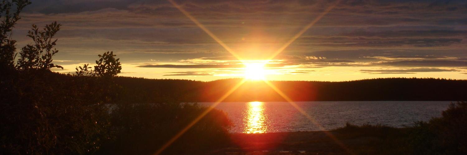 Dr Ellen Hedström banner