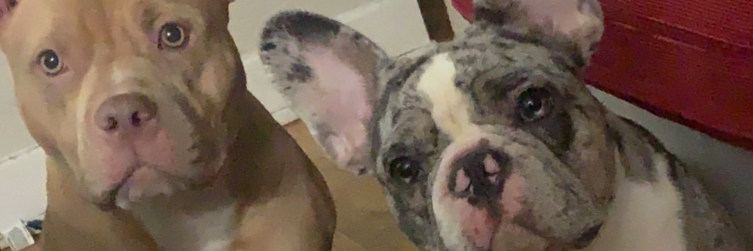 DGent_'s profile banner image