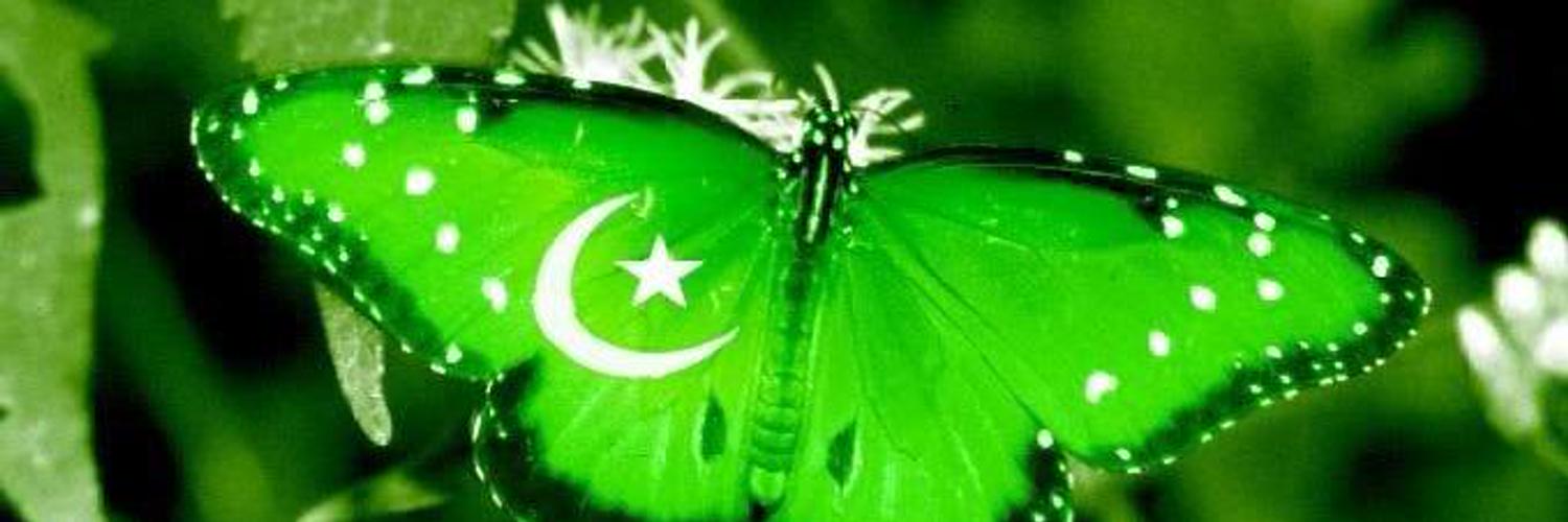 shaheenlaws's profile banner image