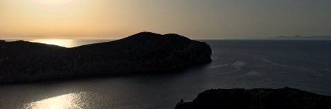 Neus Tallada Moliner banner