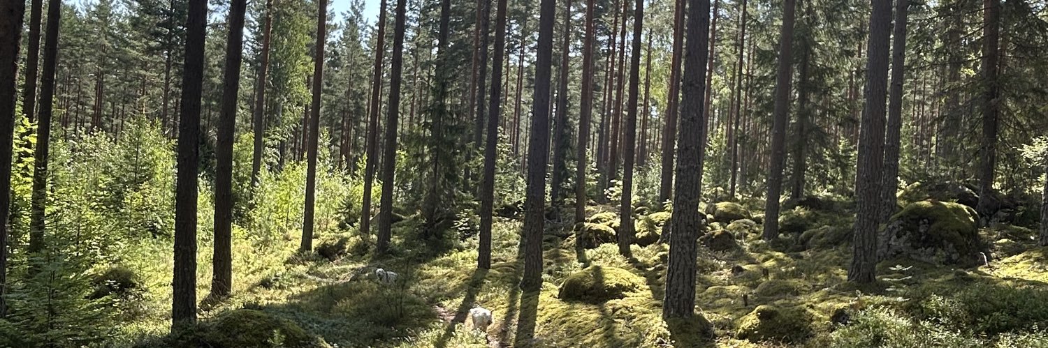hakantoresson's profile banner image