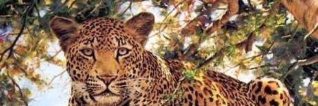 Jose_Galvan32's profile banner image