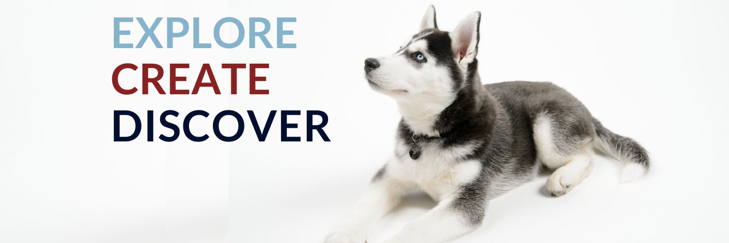 UConn Undergrad Research banner