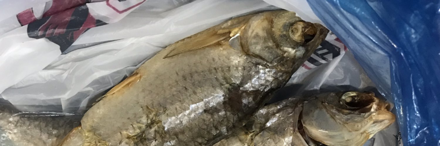 Waghorne Ball banner