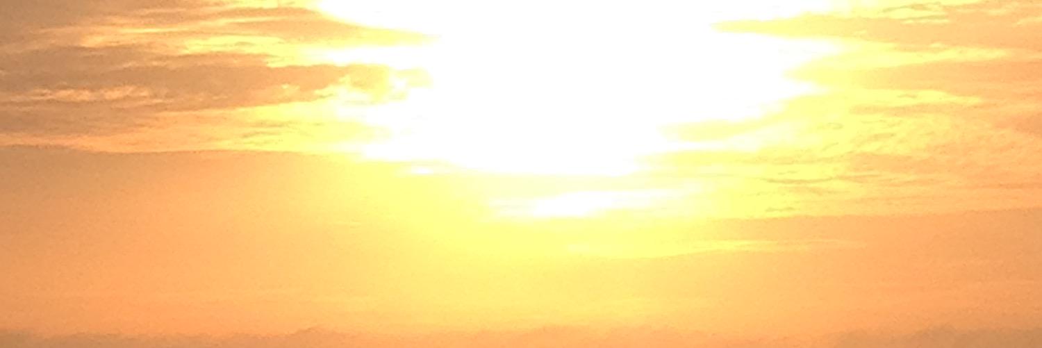 feliciamattson's profile banner image