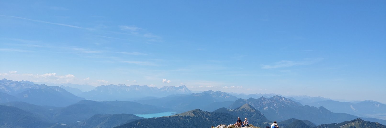 Elisabeth Engel banner