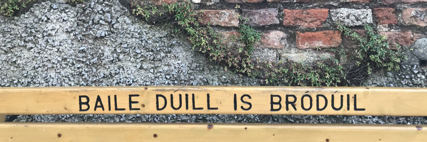 Seán Mac Giolla Phádraig banner