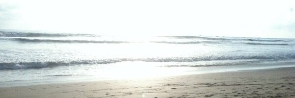 RockProcurement Profile Banner