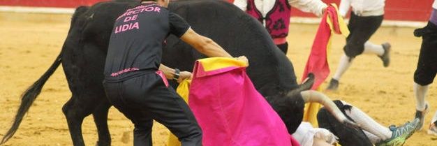 Director de Lidia banner