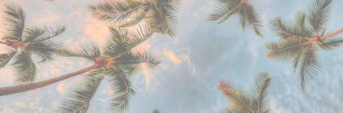 yepcaylen's profile banner image