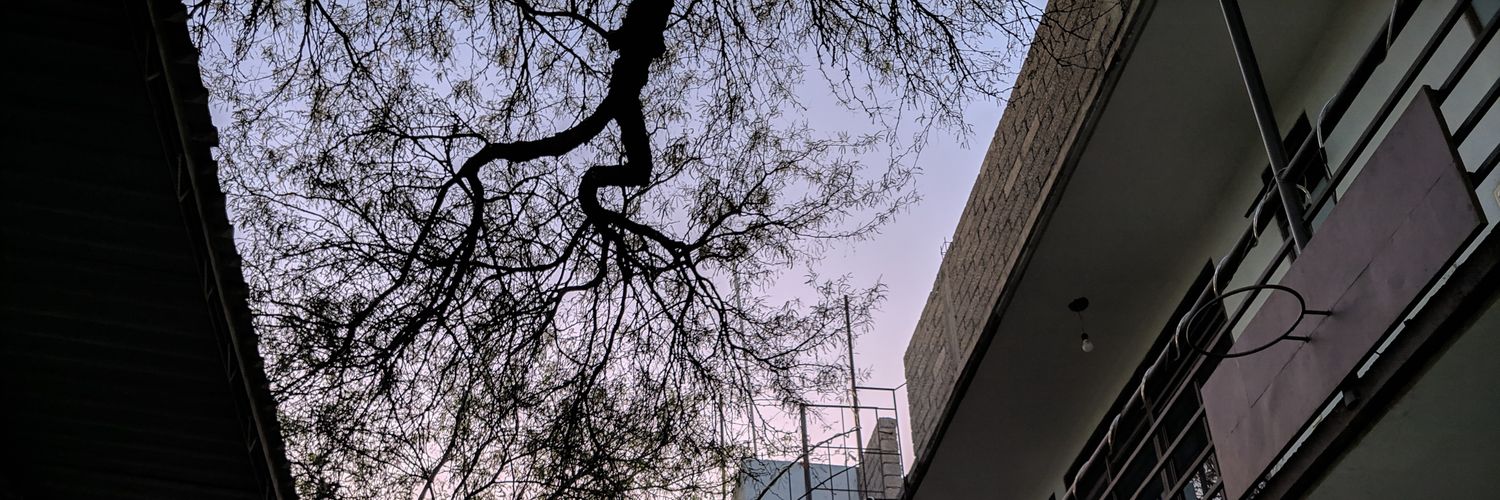 MLopeme's profile banner image
