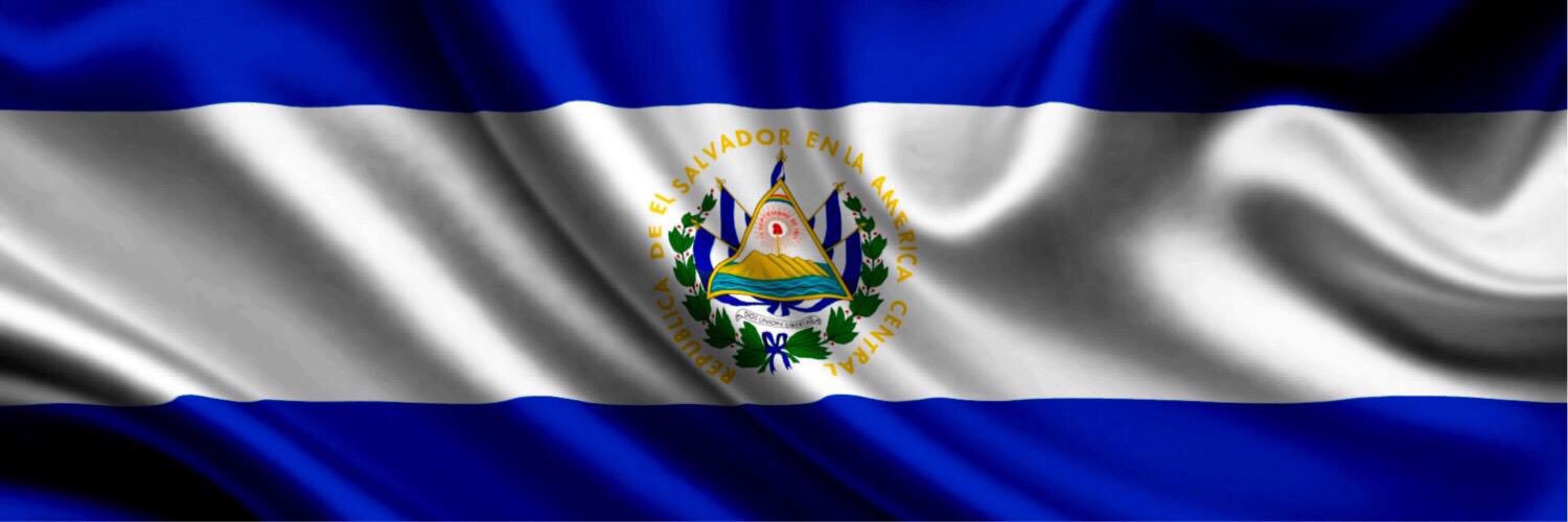 LadyGuanaca's profile banner image