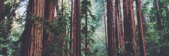 missfarindale's profile banner image