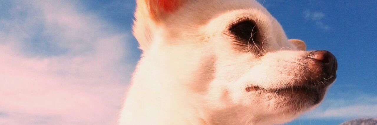 InmaaBeniitez's profile banner image