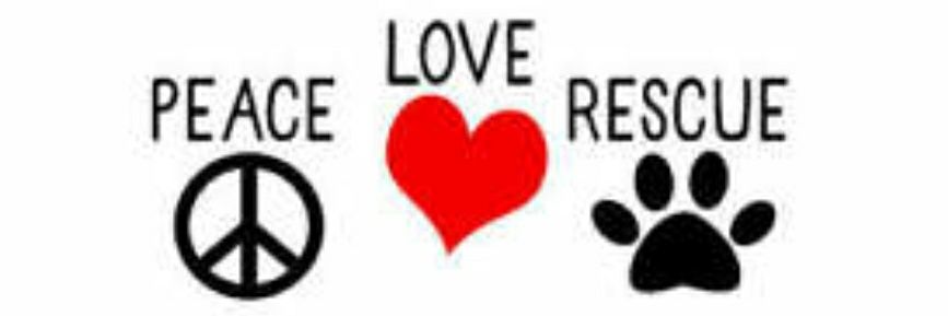 LuvLoloLuv's profile banner image
