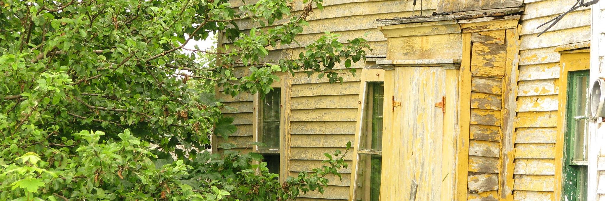 SaltboxSisters's profile banner image
