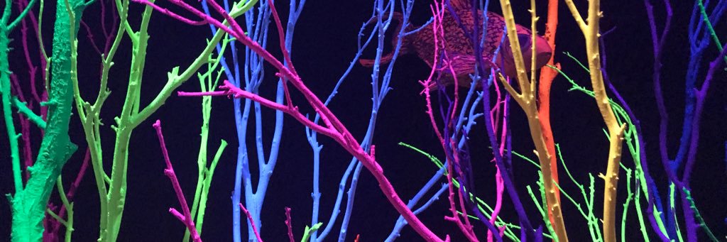 sarahcmerrigan's profile banner image