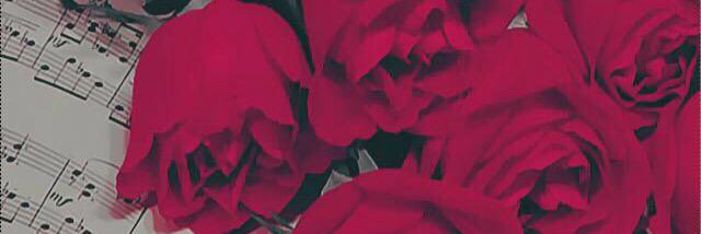 aassddf76631374's profile banner image