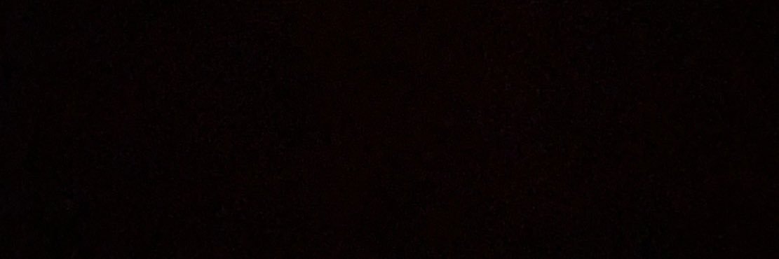 trash_bunny_'s profile banner image