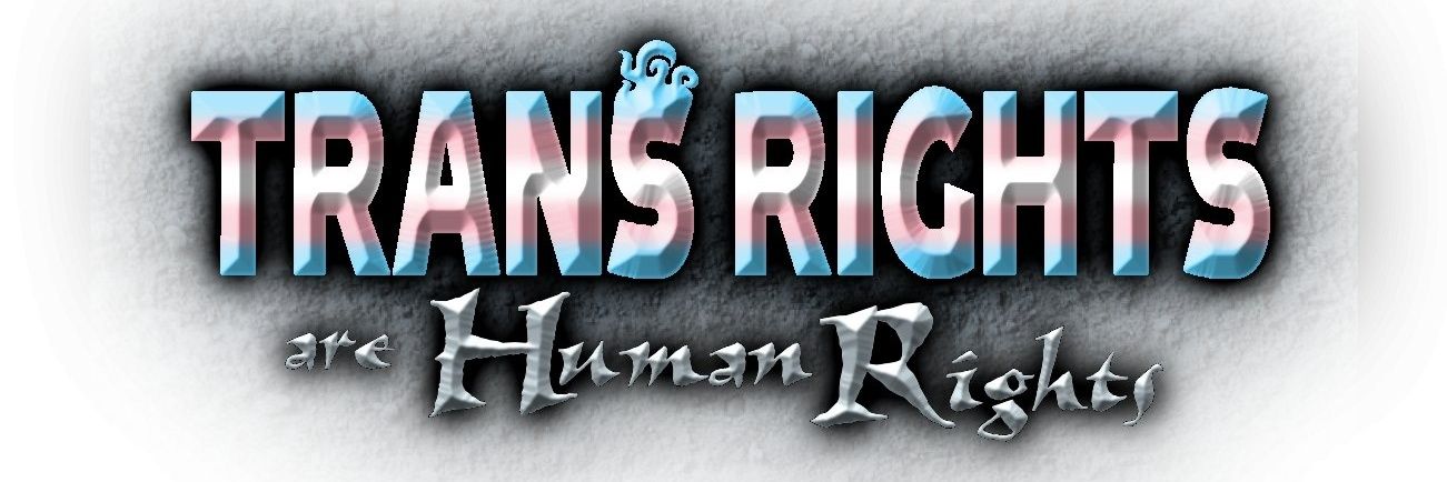 imcopav is BACK IN ACTION ON TOUR! banner