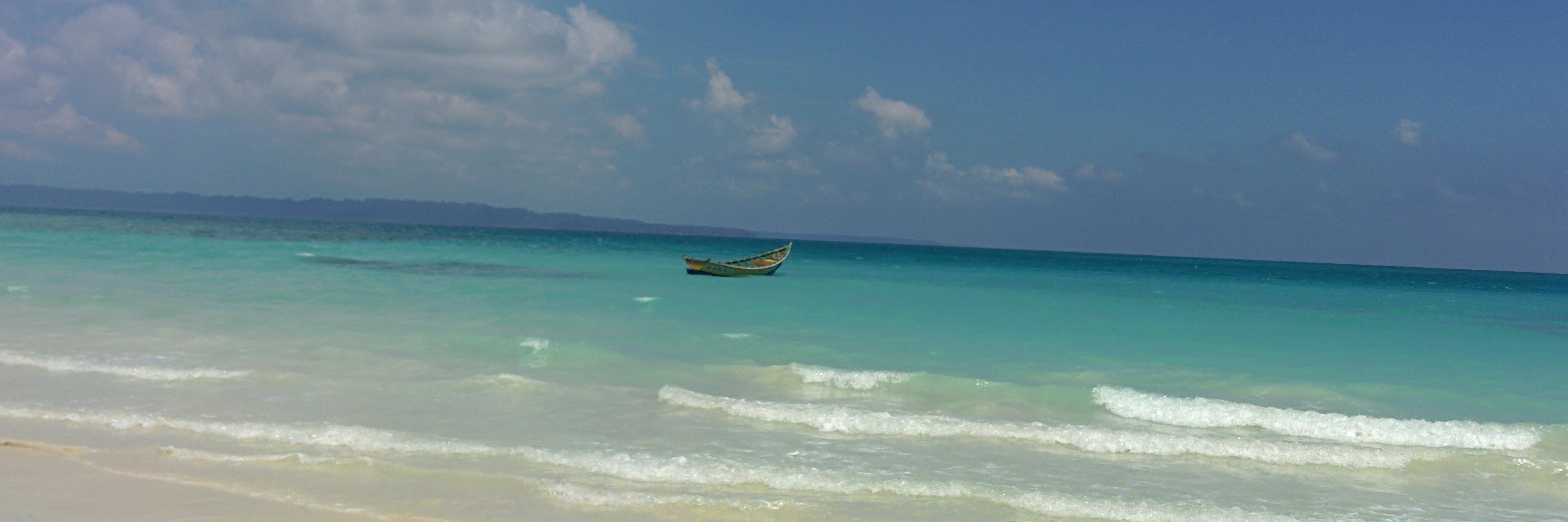 karansachdev's profile banner image
