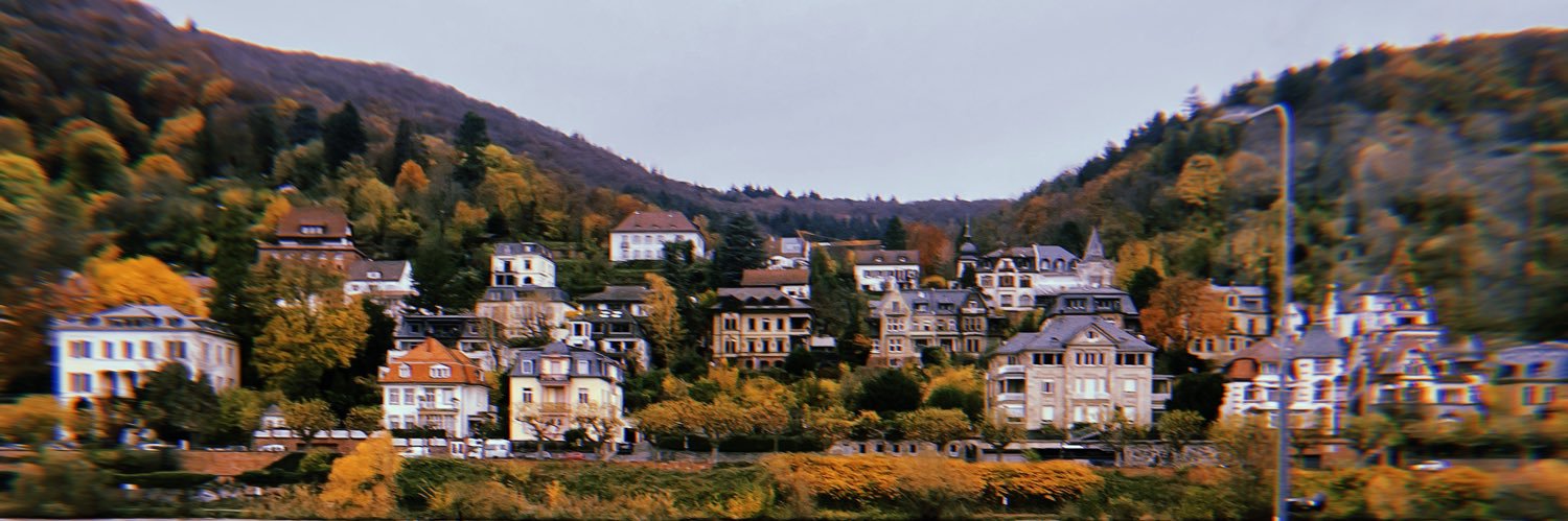 zoee_chasnick's profile banner image