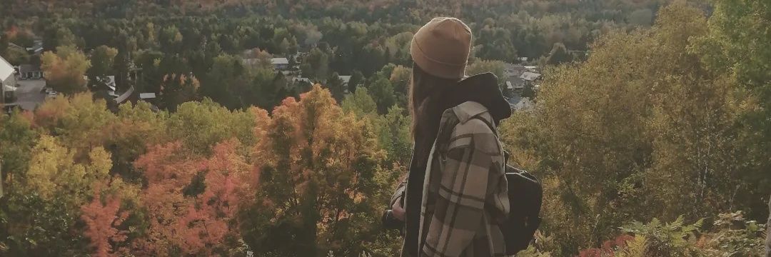 DemersAndreanne's profile banner image