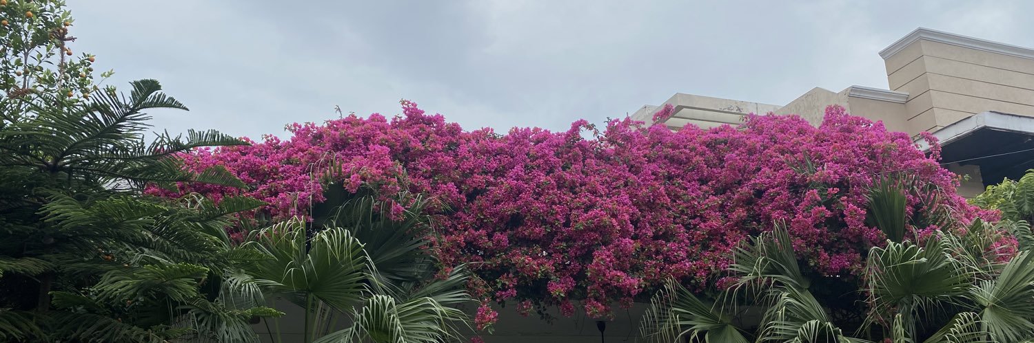 arayman22's profile banner image