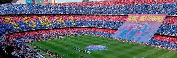 cacherlico's profile banner image