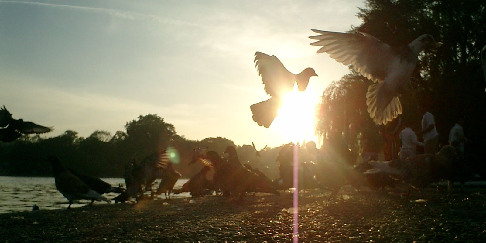 AlomairMD's profile banner image