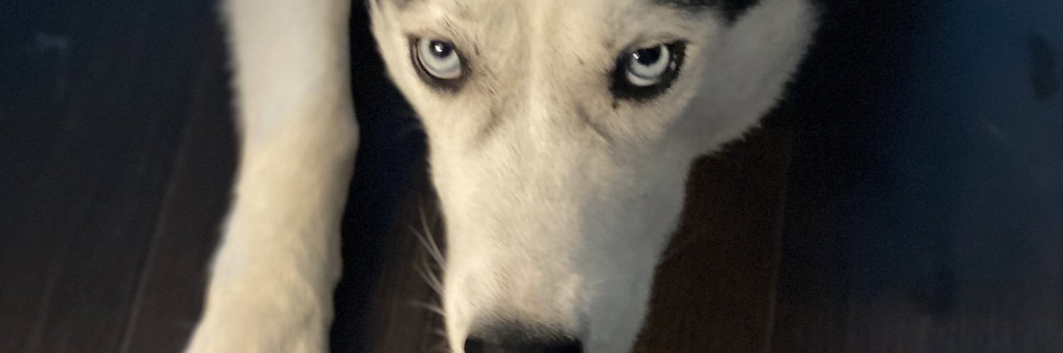 kikr's profile banner image