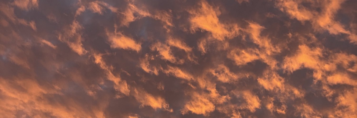 monica_19's profile banner image