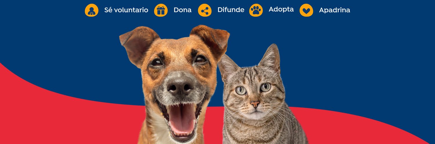 Fundación Rayito CUENTA OFICIAL's banner