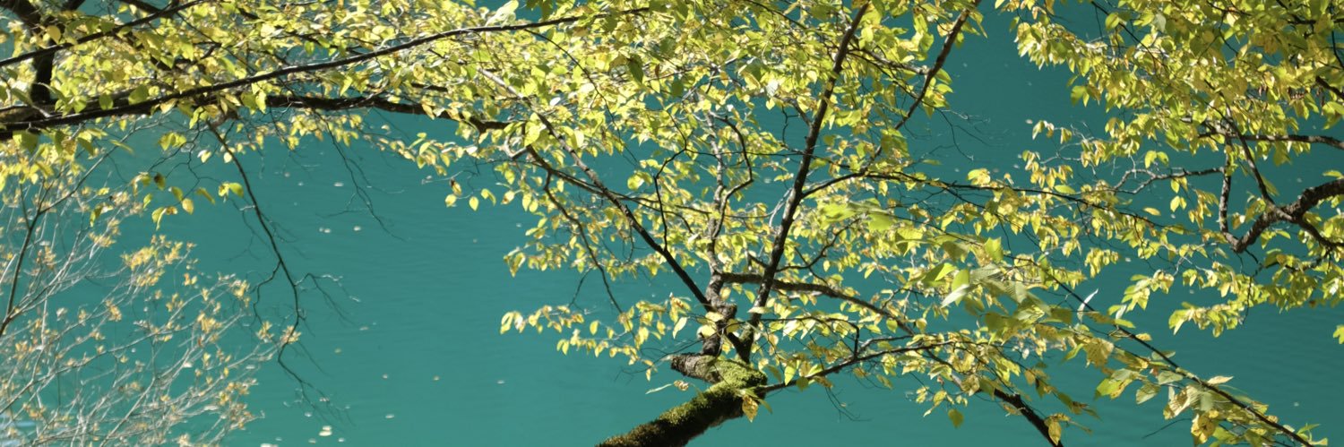 Elaine L. Gallardo, MD banner