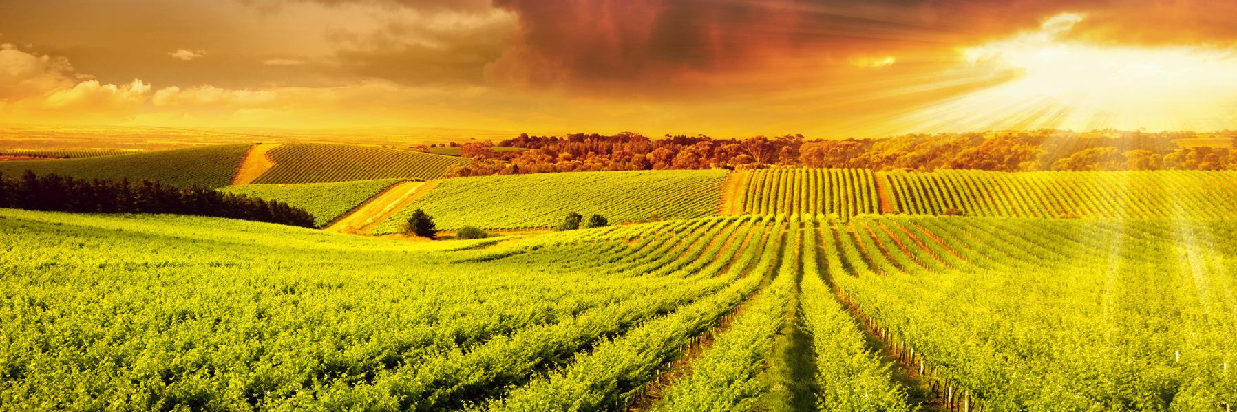 vinandco's profile banner image