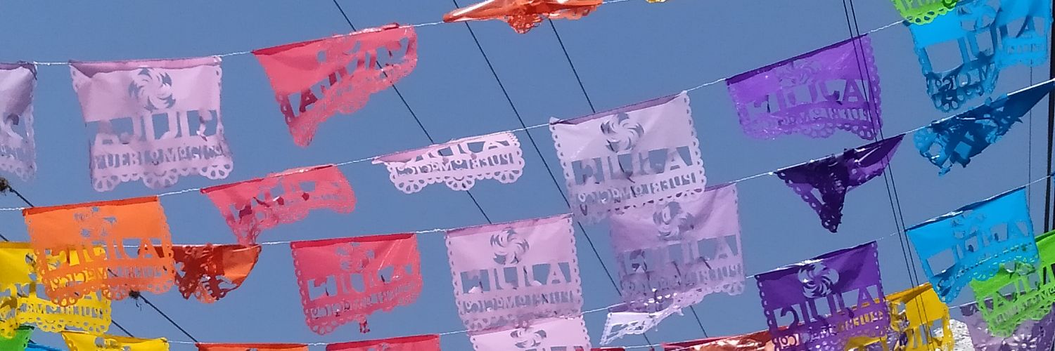 katt🌸gom || #ALIVE 🩷💛🩵 banner