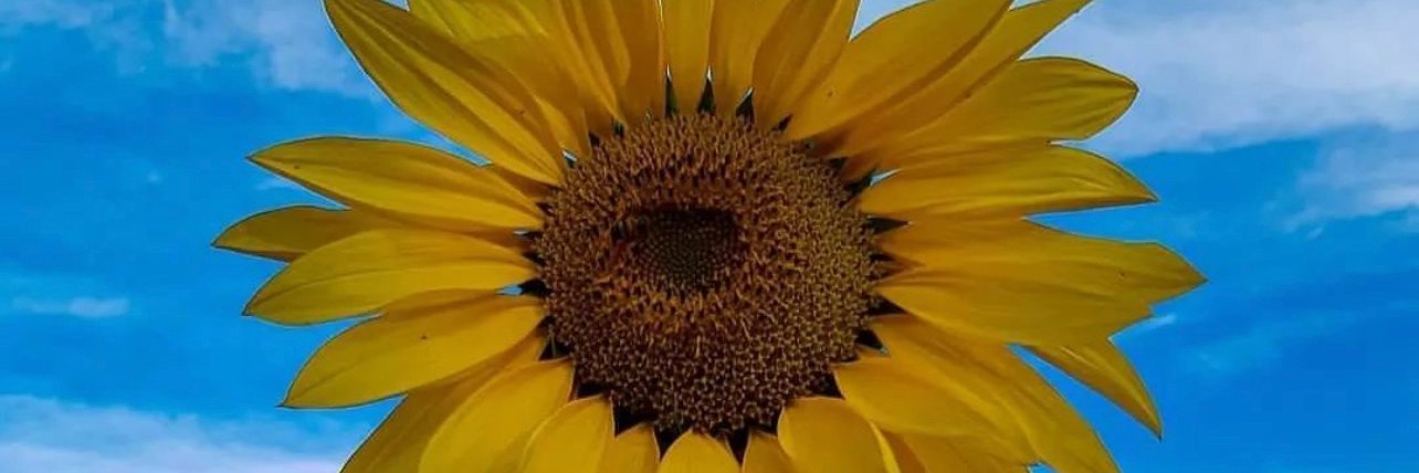 priol3125's profile banner image