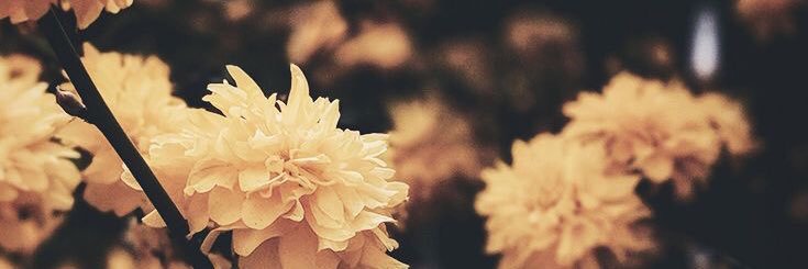aguspejito's profile banner image