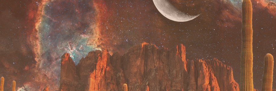 Morgan Avary banner